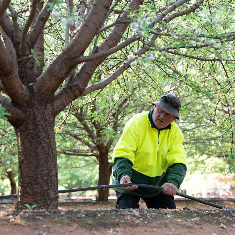 Select Harvests irrigation 988sqw