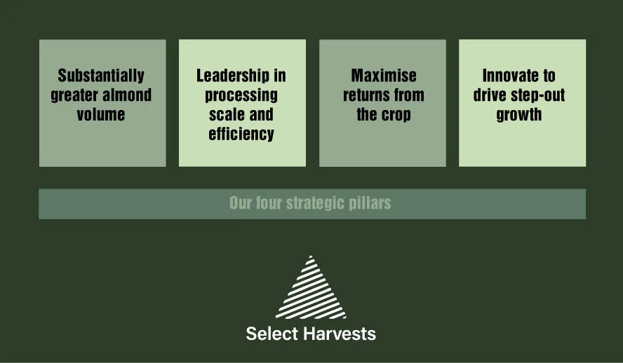 SHV 4 Pillars v3a 888px