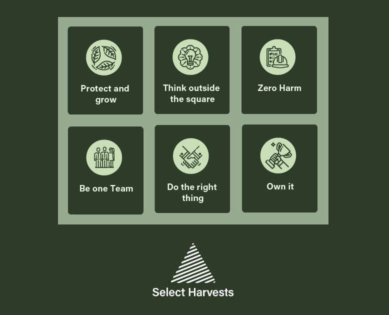 SHV Core Values 778px