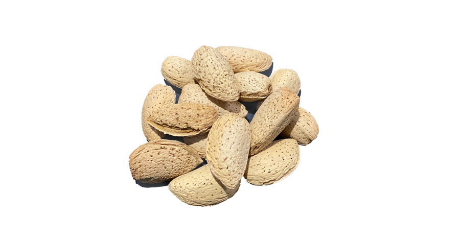 SHV Product Almond Inshell 900