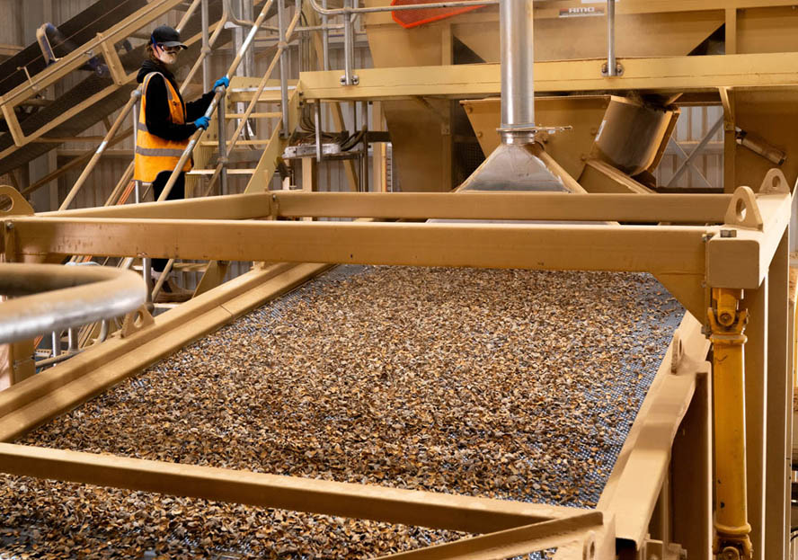 Select Harvests Processing inshell 888px